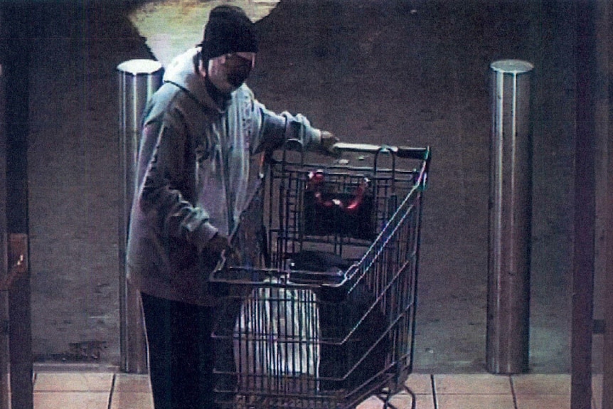 A woman caught on CCTV with a trolley,