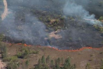 An aerial photo of a fire burning in a large paddock