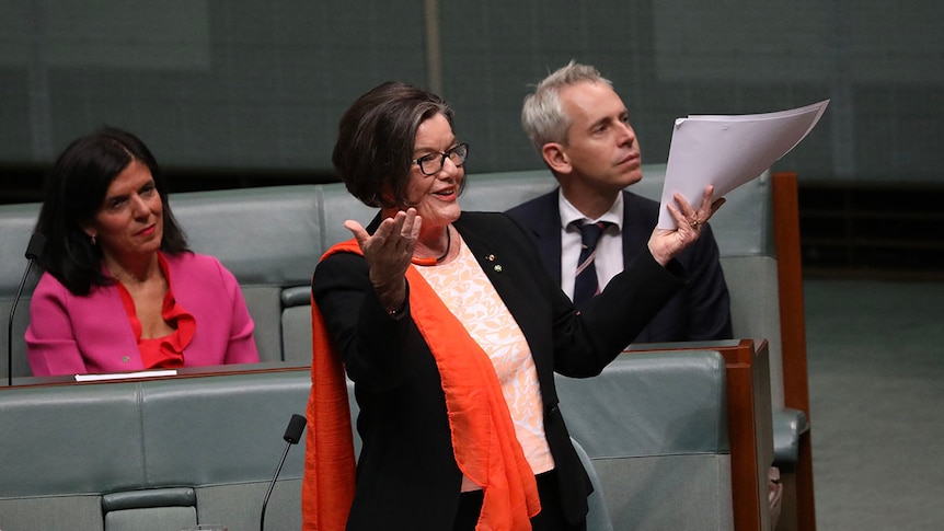 Cathy McGowan, centre of photo, raises her hands in a gesture of jubilation.