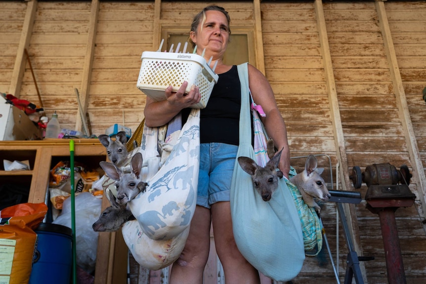 Woman stands with joeys in bags and holding bottles of milk in a plastic container.