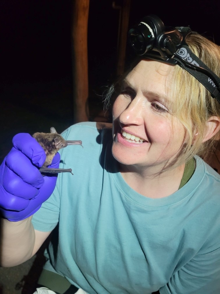 La Dra. Kolkert, que lleva una lámpara frontal, sonríe mientras sostiene entre sus dedos un microbat más pequeño que su mano.