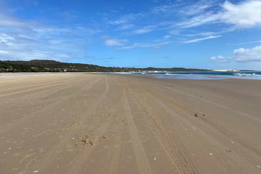 Empty beach on Fraser Island with blue sky and water in distance