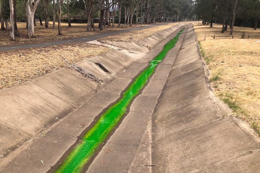 A stormwater drain with a bright green streak down the middle.