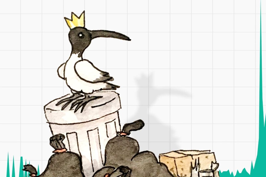 An illustration of an ibis sitting on a garbage can, with a graph superimposed.