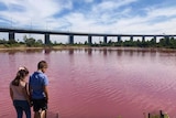 Two children stand in front of pink-coloured water at Westgate Park with the West Gate Bridge in the background.