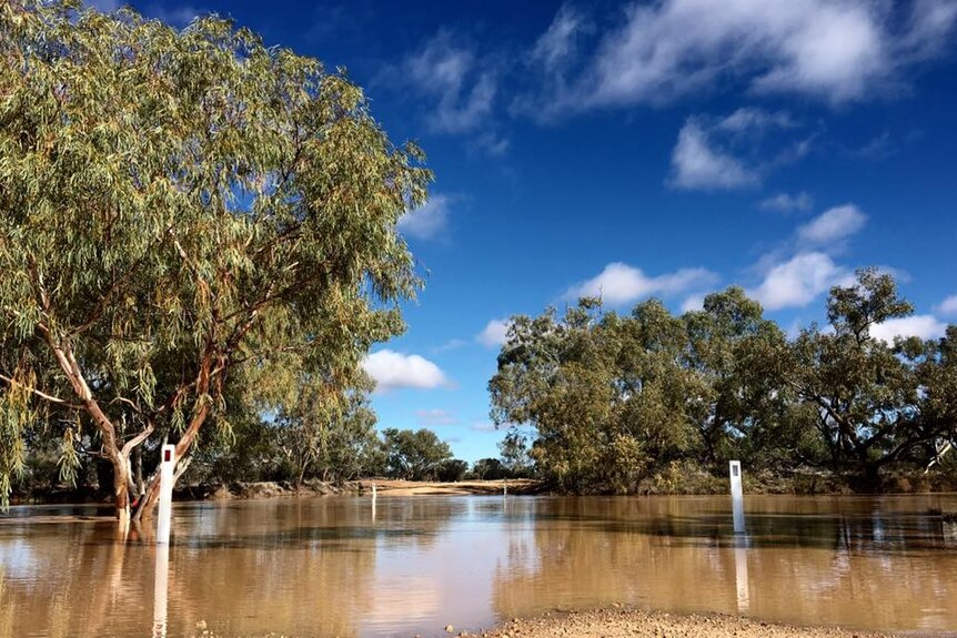 A flooded road near Longreach. The Vergemont Channels rising, cutting the Tonkoro road, south west of Longreach.
