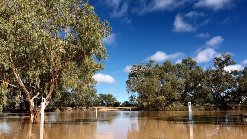 A flooded road near Longreach. The Vergemont Channels rising, cutting the Tonkoro road, south west of Longreach.