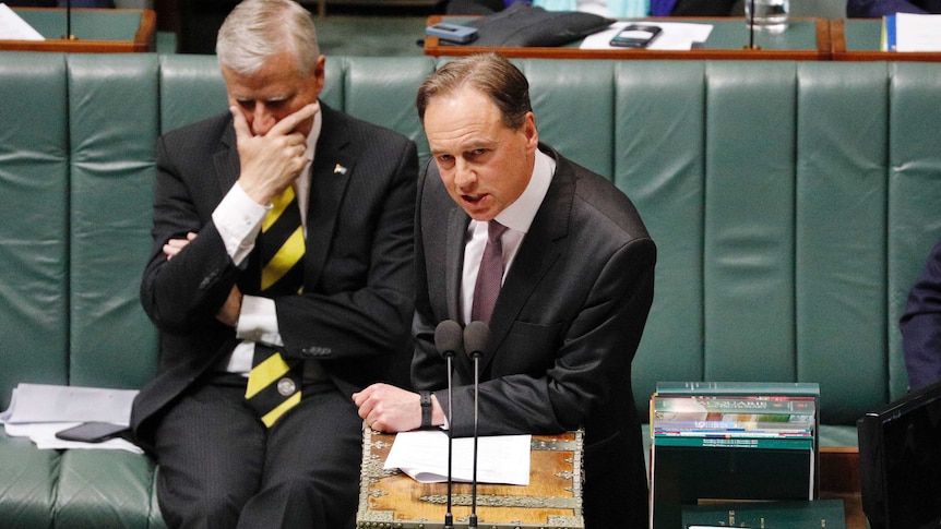 Greg Hunt talking at the despatch box during Question Time
