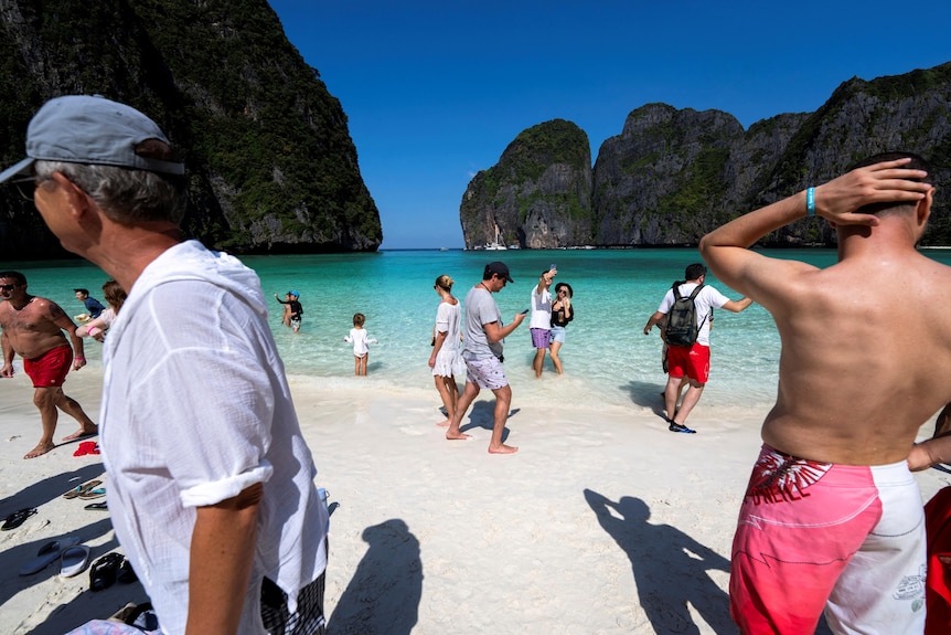 Tourists paddle in the blue waters of a small bay with large cliffs in the distance. 