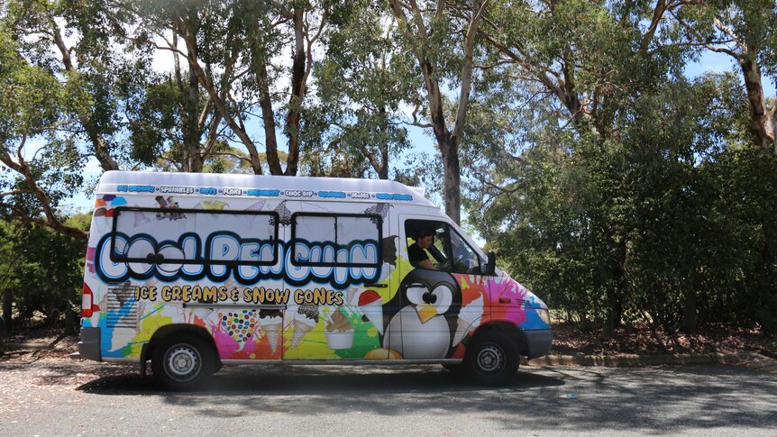 Sarah inside her Cool Penguin ice-cream truck