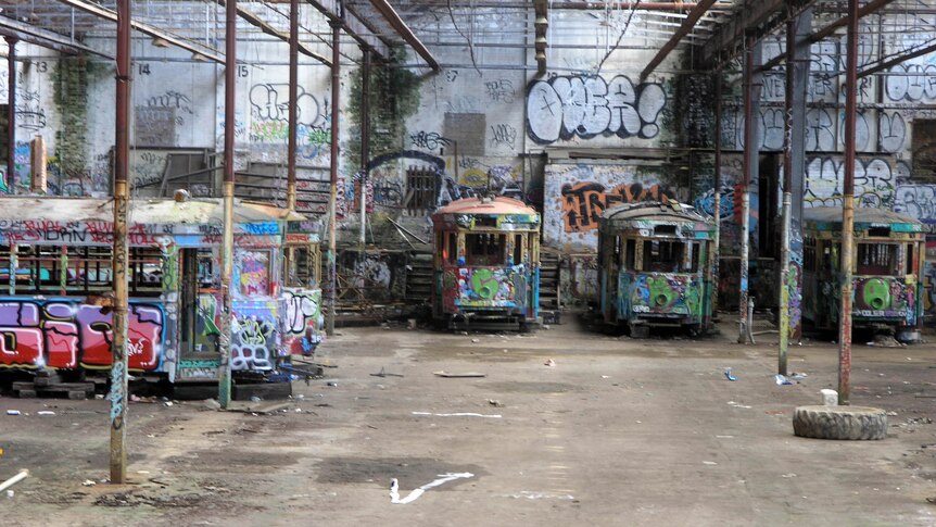 Trams in Harold Park shed