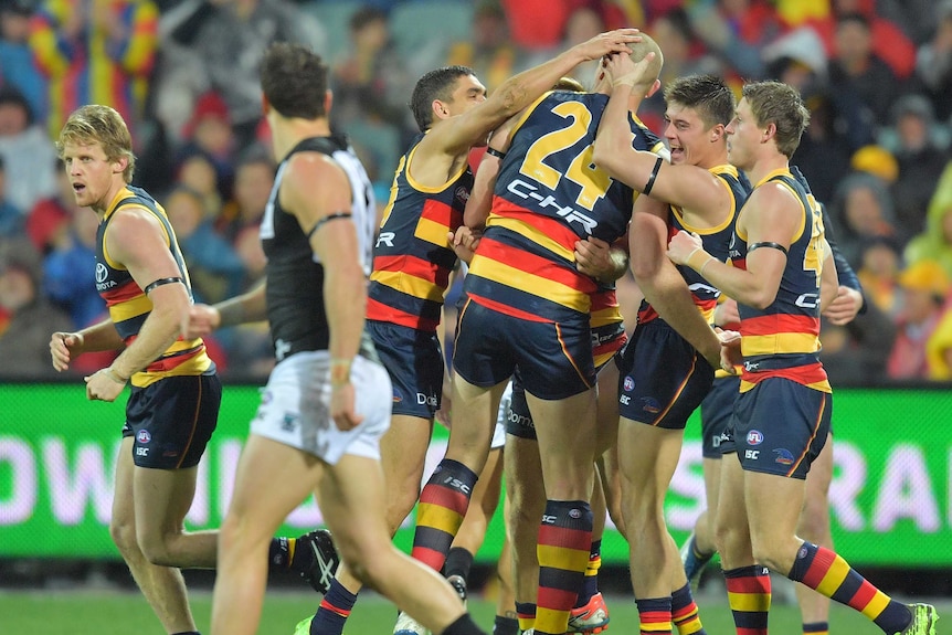 Adelaide Crows celebrate a goal in Showdown