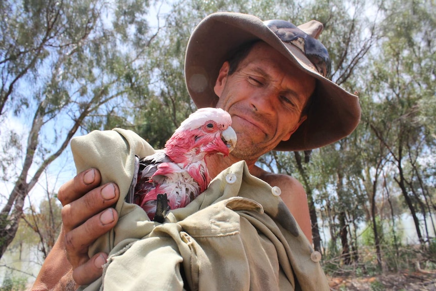 close up of a man holding a wet galah wrapped in a shirt.