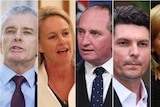 A composite photo of Malcolm Roberts, Fiona Nash, Barnaby Joyce, Larissa Waters and Scott Ludlam