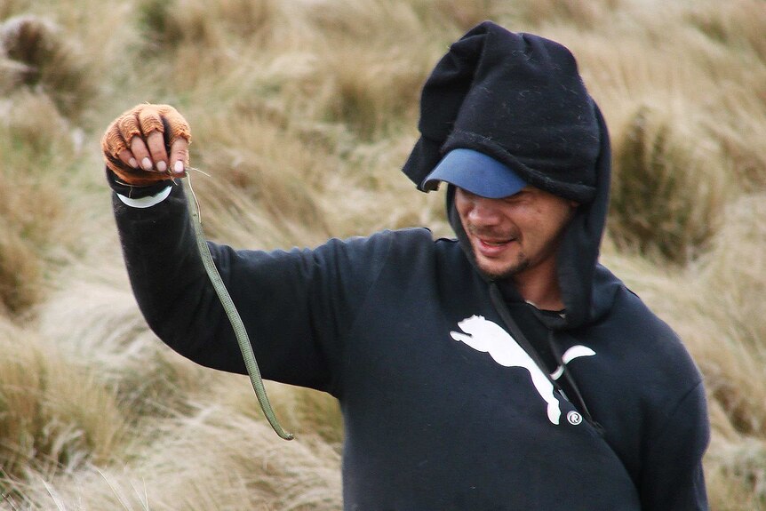 Mutton birder Shayne Mansell holds a 30 cm long tiger snake