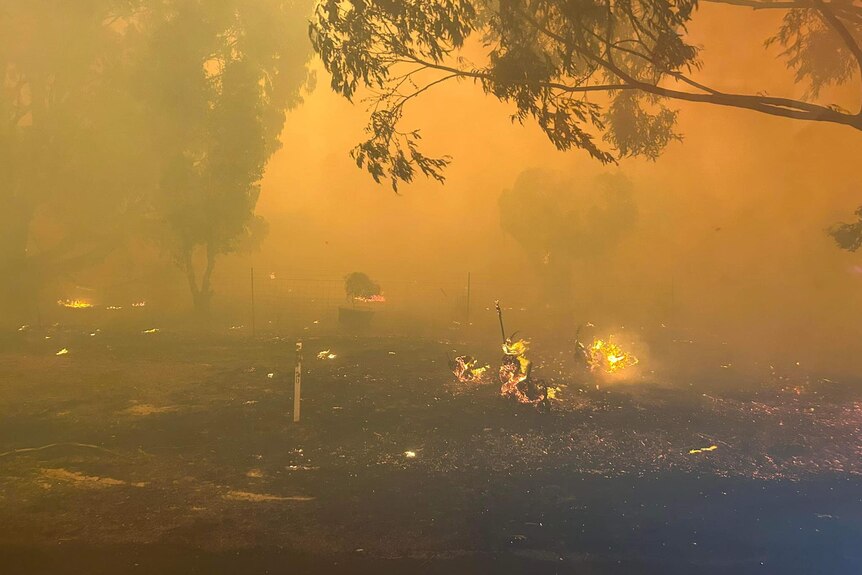 A smoky orange scene of small fires burning over bushy terrain.