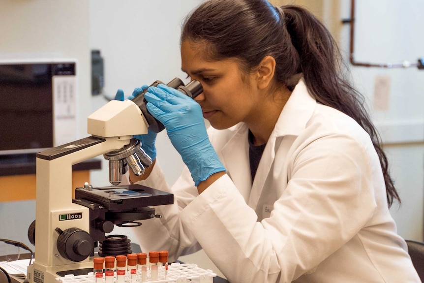 Female scientist looking through microscope