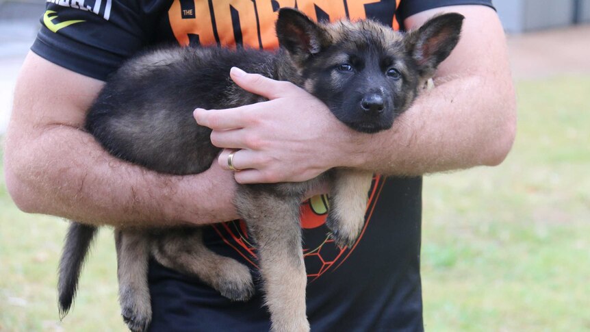 Jeff Horn holding police dog Hornet