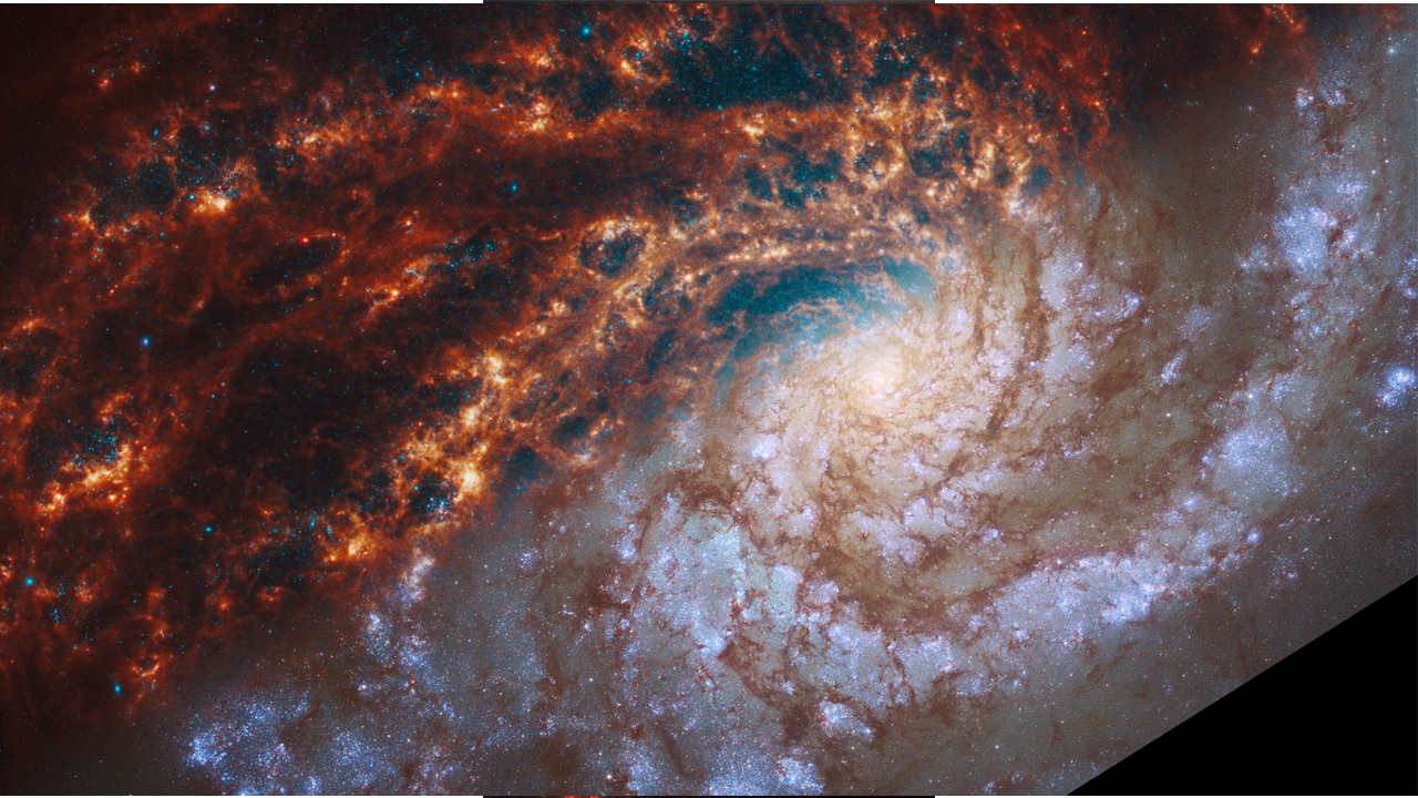 spiral galaxy NGC 4254. The top left is JWST, the bottom right is Hubble. 