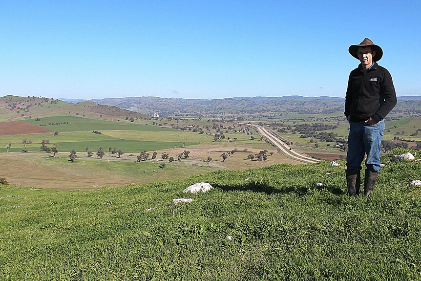 Mason Crane surveys the landscape