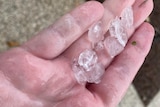 Hailstones in hand. 