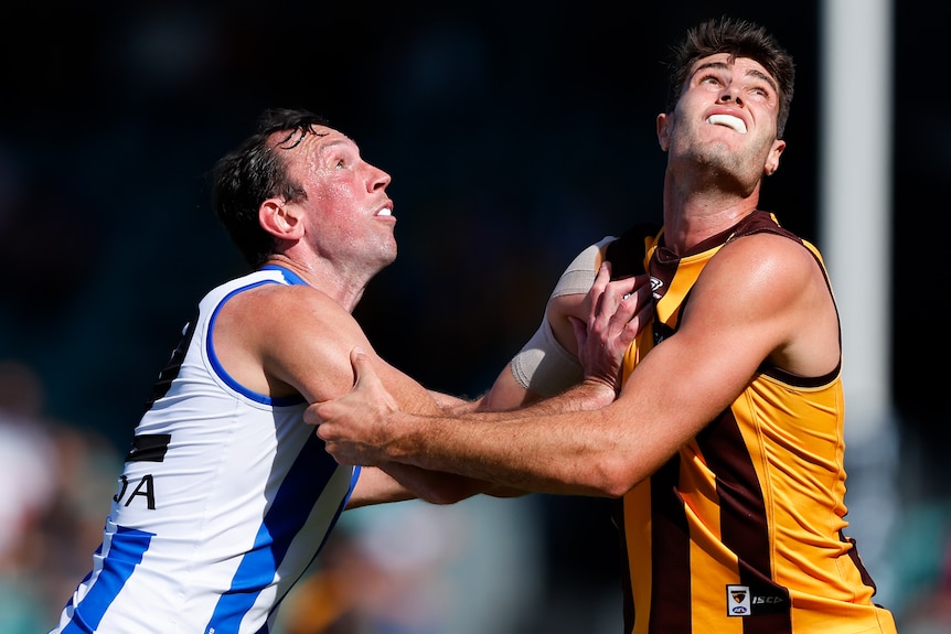 A North Melbourne AFL player pushes against a Hawthorn opponent as they prepare to contest for the ball.