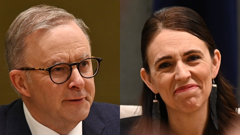 Anthony Albanese claims New Zealanders may possibly be permitted to vote in Australian elections, just after conference Jacinda Ardern