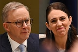 A composite image of Anthony Albanese and Jacinda Ardern.