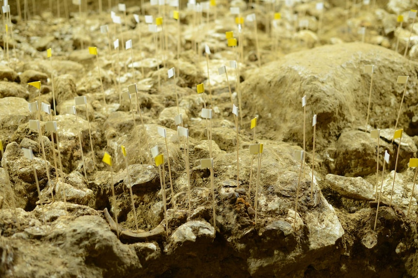 Close up of flags on floor of Trader's Cave