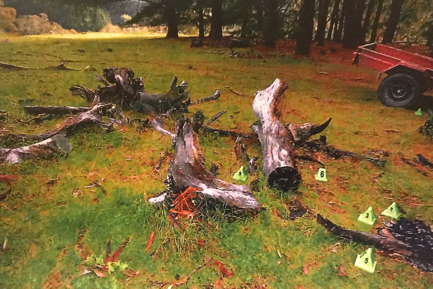 A group of logs laying on a grass area with a red trailer nearby