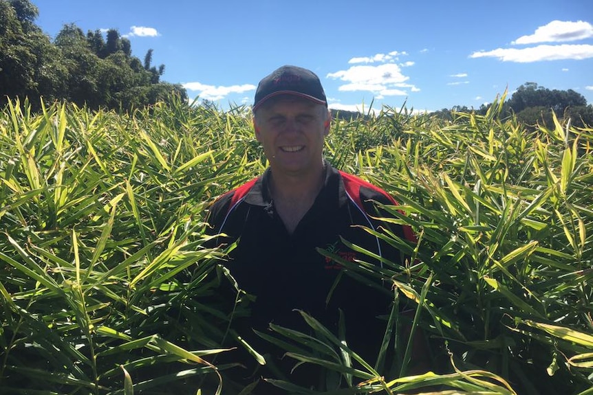 Shane Templeton standing in a ginger field at Eumundi