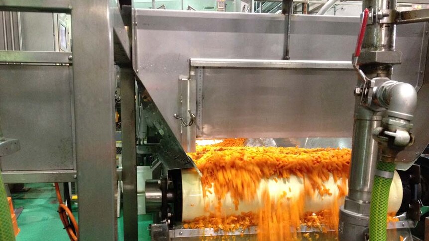 Carrots diced at Simplot factory in Devonport, Tasmania