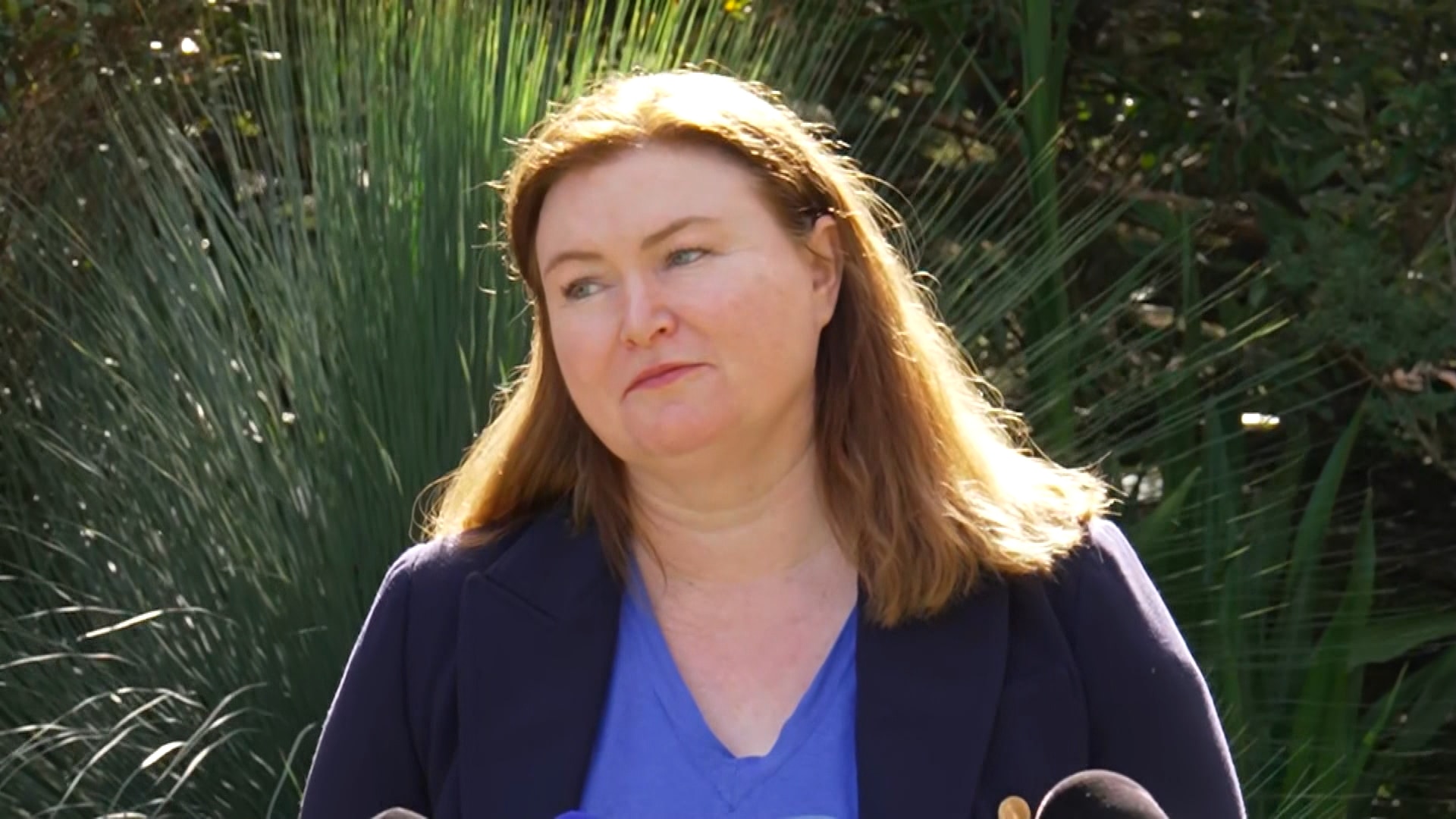 Police Probe 'Vile' Threats Against NSW Agriculture Minister Tara Moriarty Over Feral Pig Program