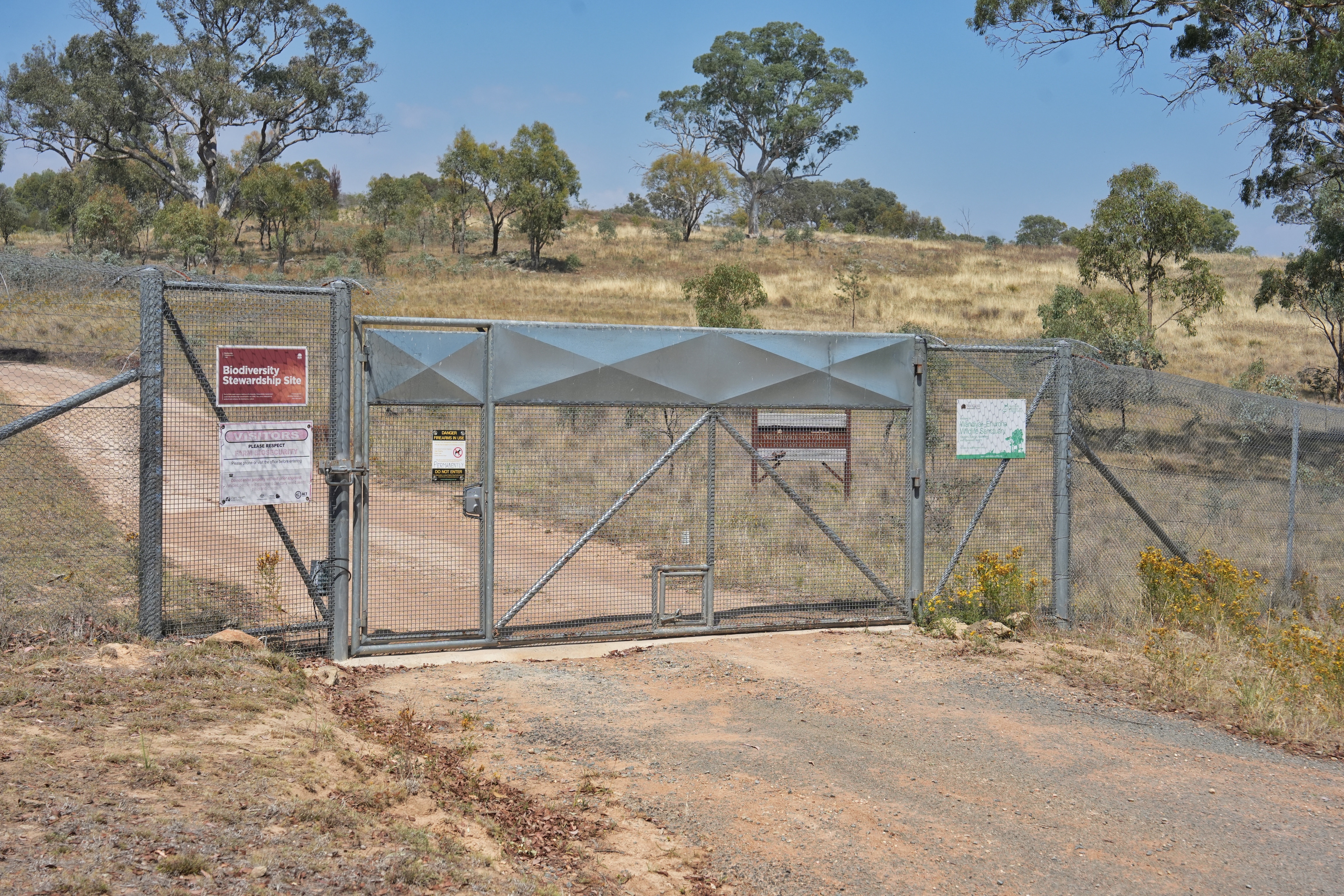 Una valla a prueba de depredadores que atraviesa un paisaje boscoso. 