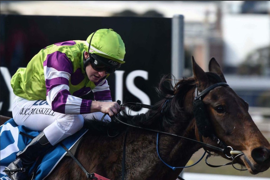 Jockey Jason Maskiell riding a raceohorse