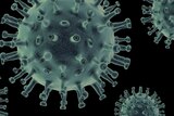 Microscopic close up of virus.