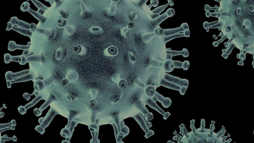 Microscopic close up of virus.