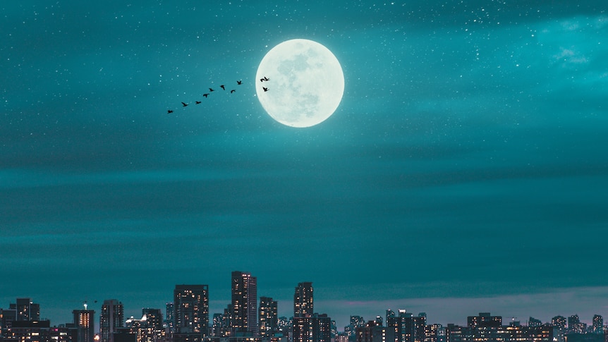 A full moon hangs in the night sky above a city skyline