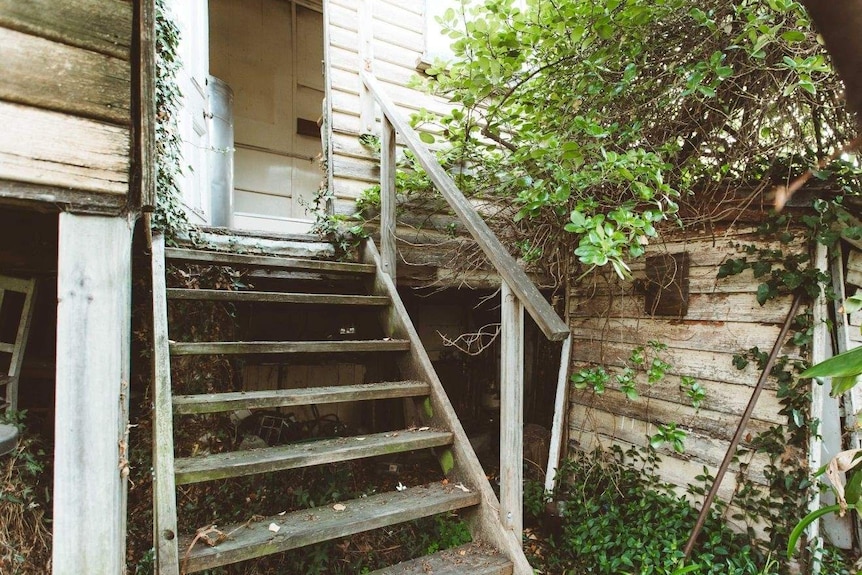 Wooden steps leading to the backyard from the bathroom at a run-down West Hobart cottage.