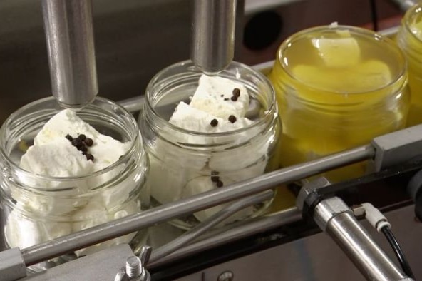 Cheese being packed by a machine in a production line.