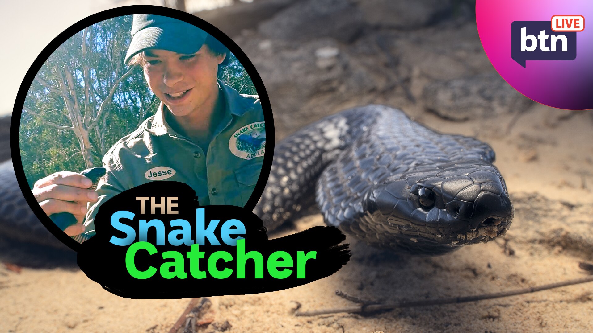 Tilly the Snake Catcher - Behind The News