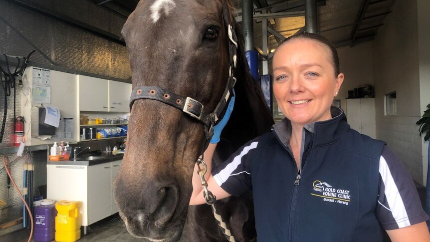 Gold Coast-based equine veterinarian Dr Rhian Partridge said it's highly unusual for a horse to live for 50 years