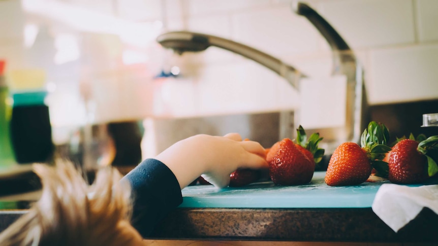 一个小男孩伸手去拿厨房长凳上的草莓。