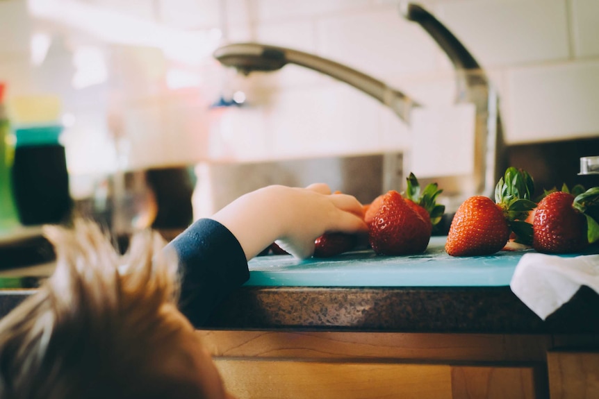 A young boy reaches for a strawberry on a kitchen bench.