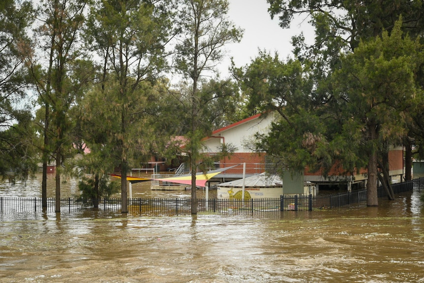 A school heavily inundated by floodwater