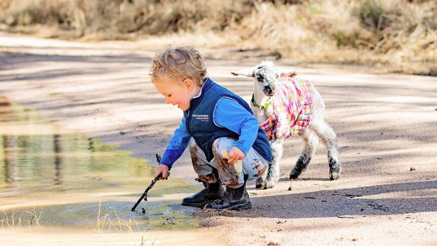 A boy and a lamb wearing a colourful jumper play in puddles.