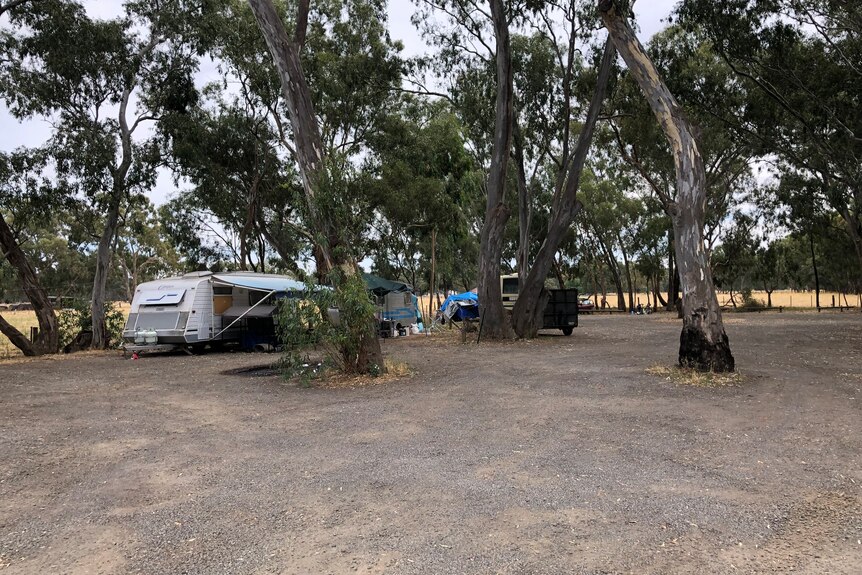 caravans and tents sit in a reserve