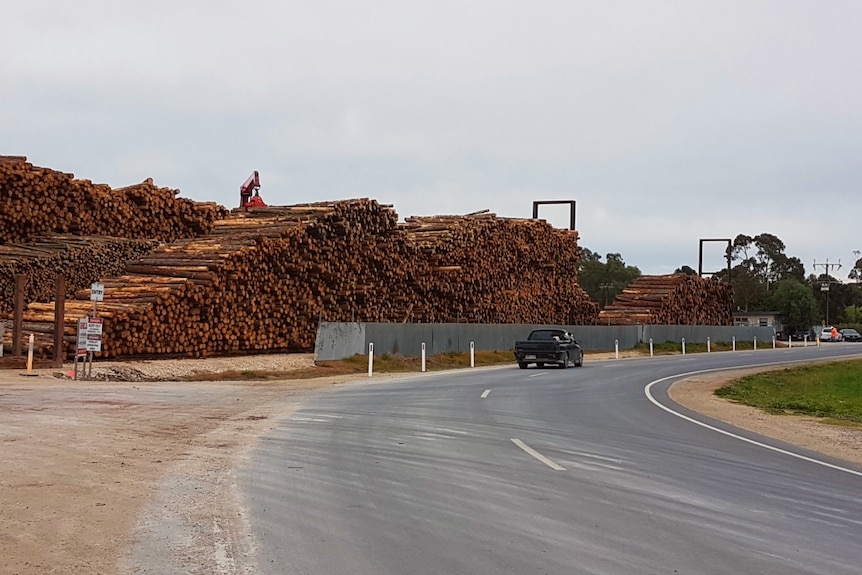 Large stacks of piled wood logs next to a road.