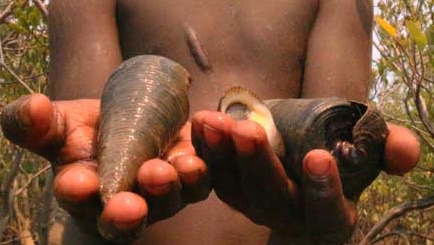 Boy in the Northern Territory holds onto some 'long bums'