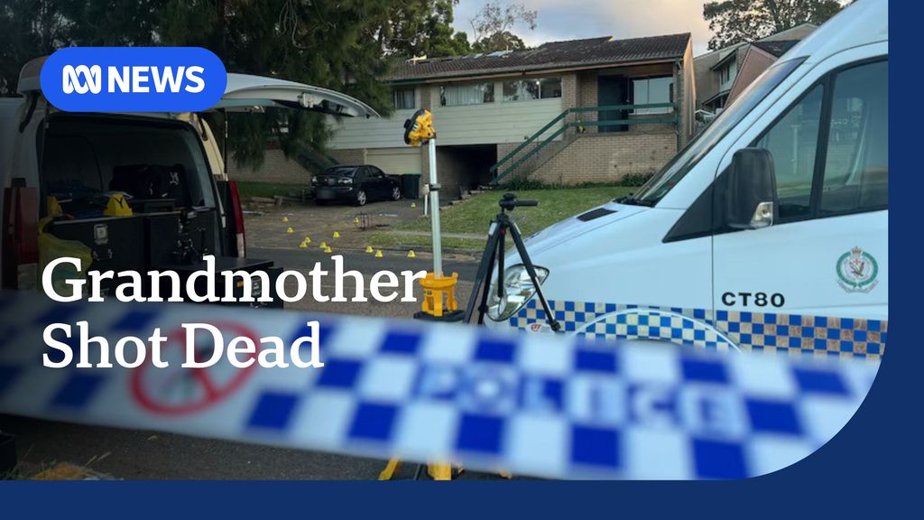 ABC News NSW: Sydney police hunting 3 men over fatal drive-by shooting ...